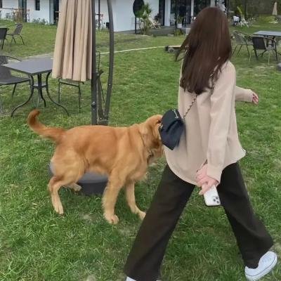 我们的所爱